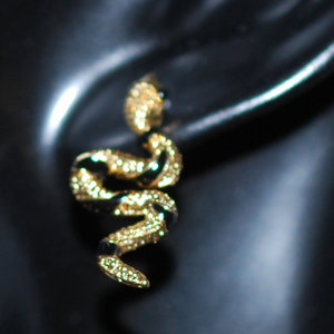 Snake Shape Drop Earrings
